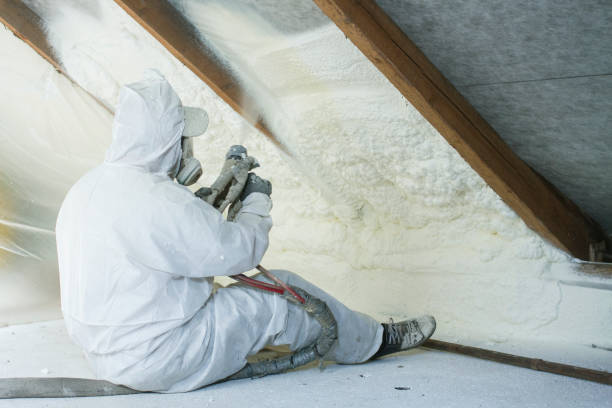 Best Thermal Imaging for Insulation Gaps  in Sewalls Point, FL